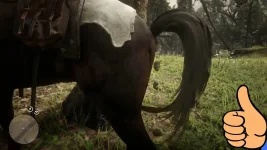 Лошадь в RDR2 срет.webp
