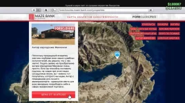 Новый бизнес Маккензи.webp